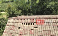 湖南常德临澧烟花厂爆炸事故搜救已结束，初步统计共造成1000多户居民房屋受损